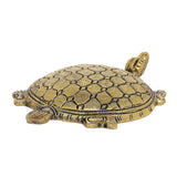 Load image into Gallery viewer, Brass Engraved Turtle - 4 in